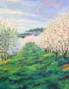 Orchard Hillside